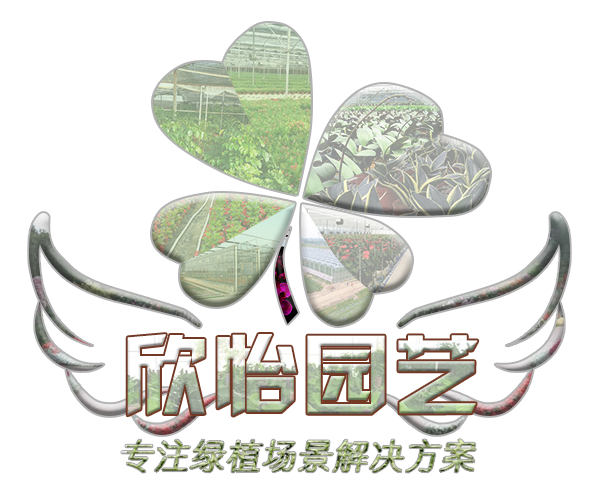 綠植租擺